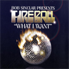Bob Sinclar Press. Fireball - What I want (D.O.N.S Remix)