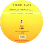 Gregor Salto - Bouncing harbour