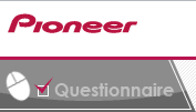 Pioneer Questionnaire Pioneer Questionnaire