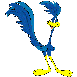Roadrunner Roadrunner