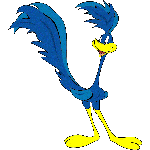 Roadrunner